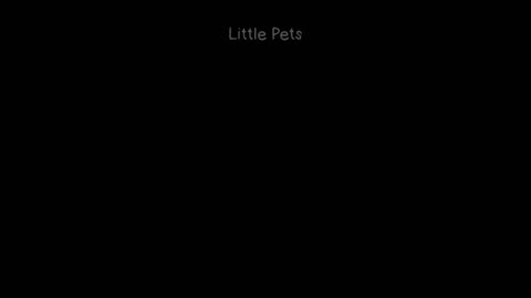 FUNNY VIDEO ANIMAL CATS AND DOG