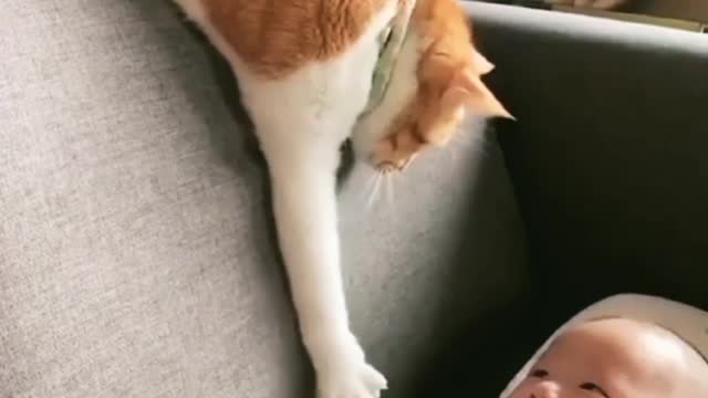 Baby and 😺😺 fun video 🤪🤪