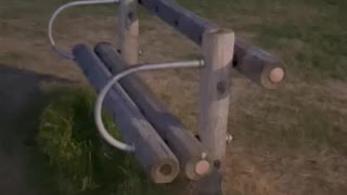 Tree stumped seat