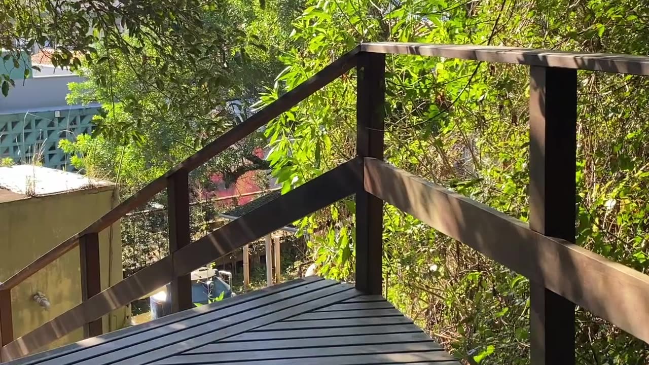 19/19 - Explorando a Trilha do Morro do Macaco em Bombinhas: Uma Experiência Imersiva! #bombinhas