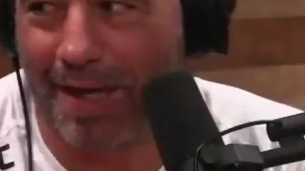 Joe Rogan . Internet access makes you dumb IQ