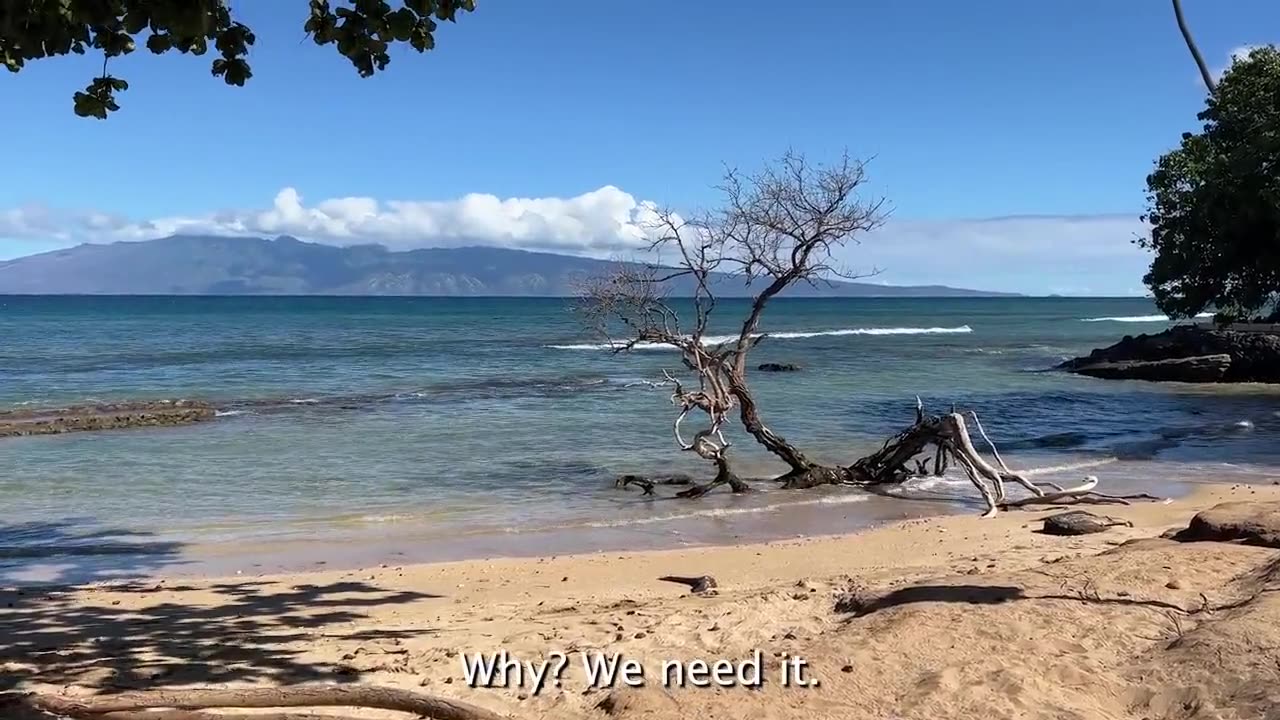 'Get Back On The F***ing Plane': Lahaina Resident Blasts Biden, Says 'We're Not Getting Anything'