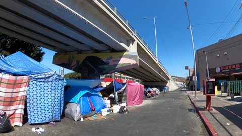 Biden's Border Disaster in Tijuana 🚸 part 2