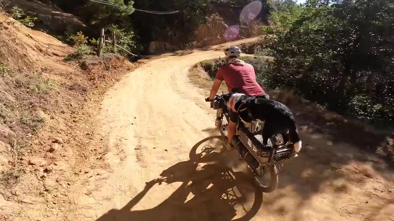 Biking