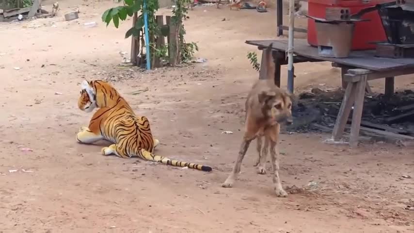 New Fake Tiger Head Prank Dog for Funny Comedy