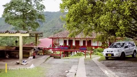 Colombia Coffee Farm - Visiting a coffee plantation in Salento