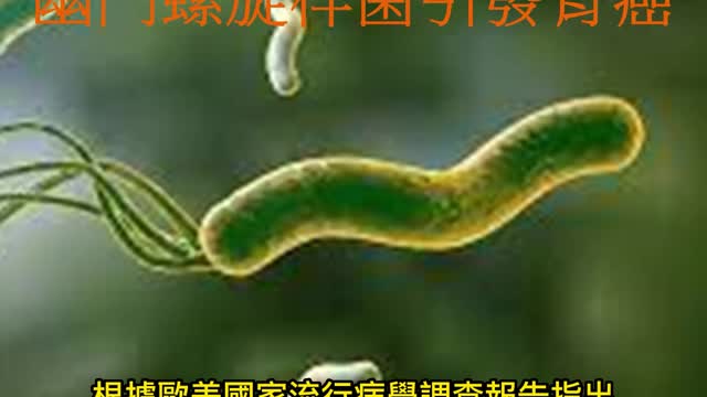 健康生活情報站 胃痛不可輕忽! 幽門螺旋桿菌引發胃癌