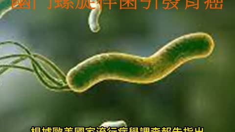 健康生活情報站 胃痛不可輕忽！ 幽門螺旋桿菌引發胃癌