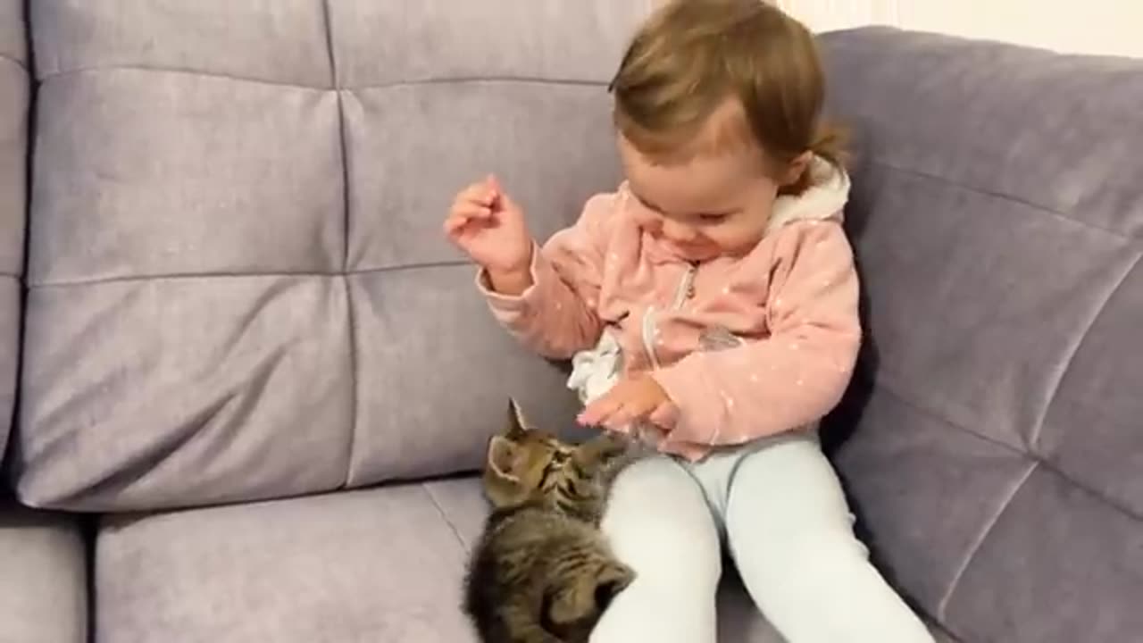 Cute cat meet baby first time