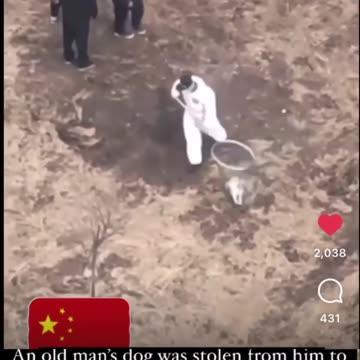 Chinese animal killing orgy