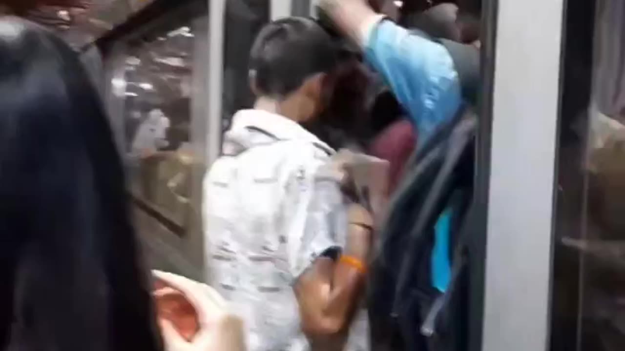 Funny videos