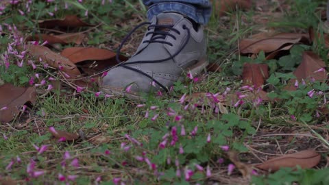 leaves and flowers on the ground