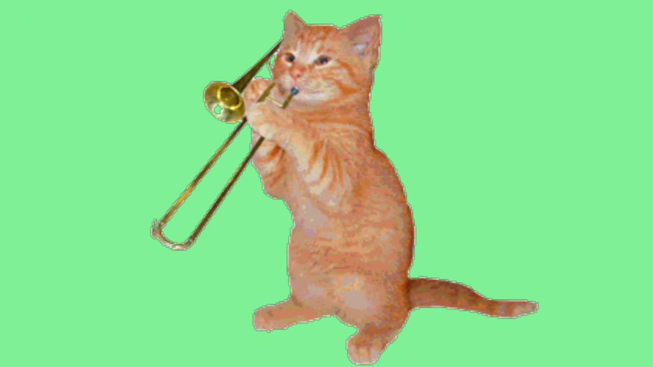 Cat Playing a Trumbone