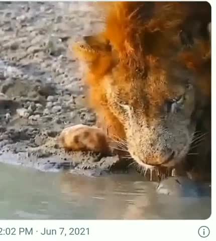 Comedy video scenes 😂😂😛😛