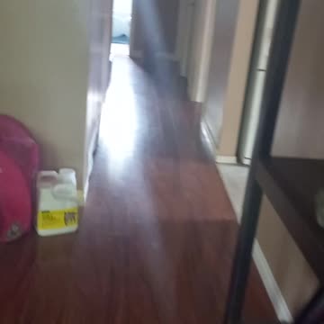 Garfield chasing mouse