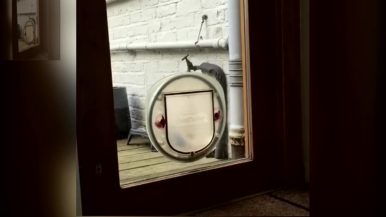 Come on, it's time for dinner