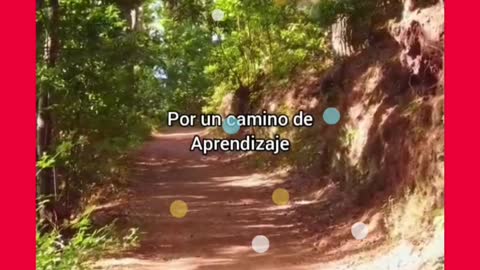 CAMINO DE APRENDIZAJE
