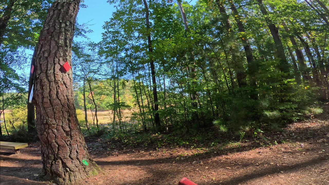 Driftwood Trail - Allatoona Creek GA