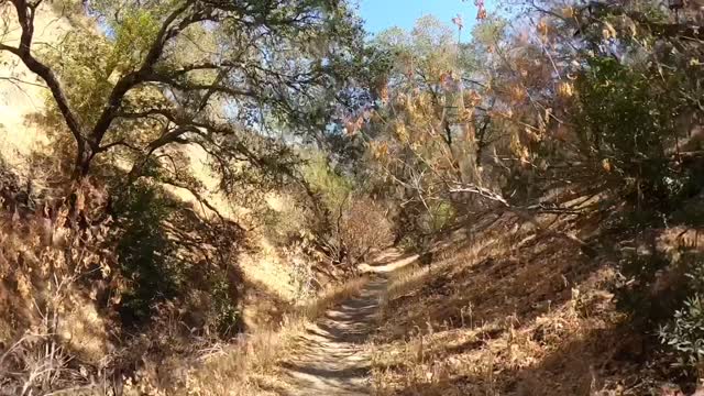 Buckeye Ravine Trail