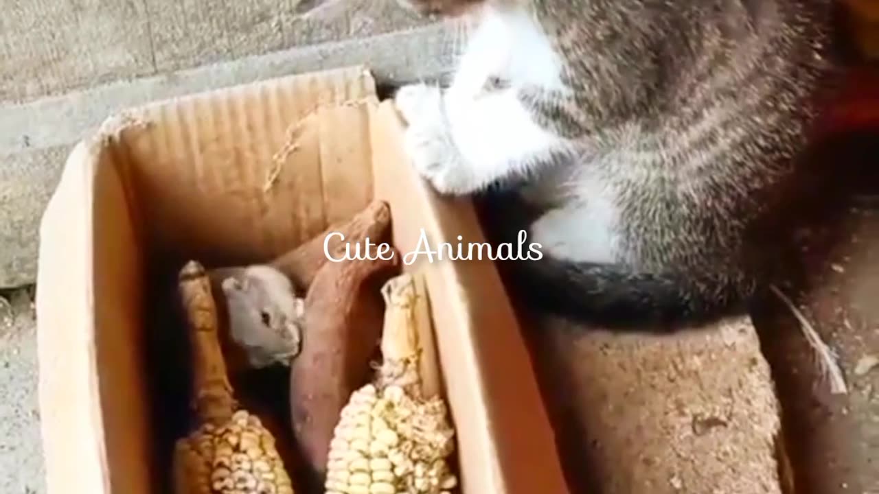 Funniest Animal Videos of the Day 2024 😁# #funny part 133