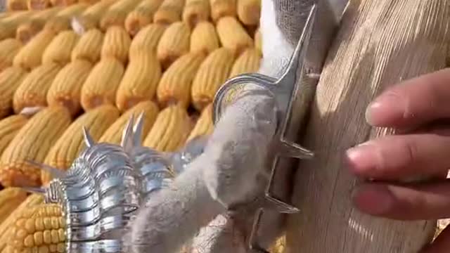 Manual Corn Thresher