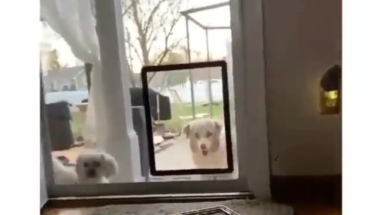 It must be dinner time! lol!