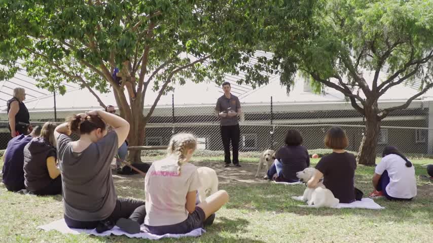 Guide dog graduation day - Journay of a guide dog