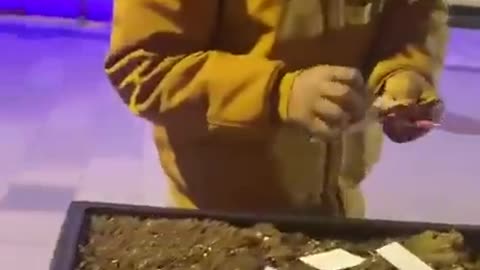 Robbing people, getting away with it. Via @Retardsoftiktok