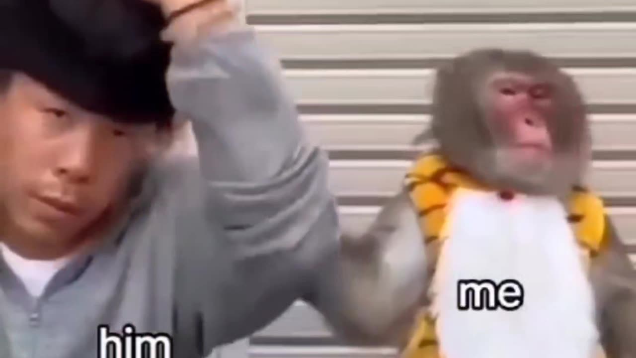 🤣🤣🤣