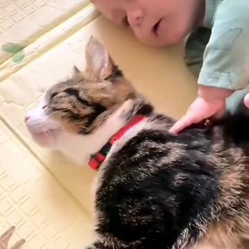 Funny Animal | Wholesome videos of cats and babies love.