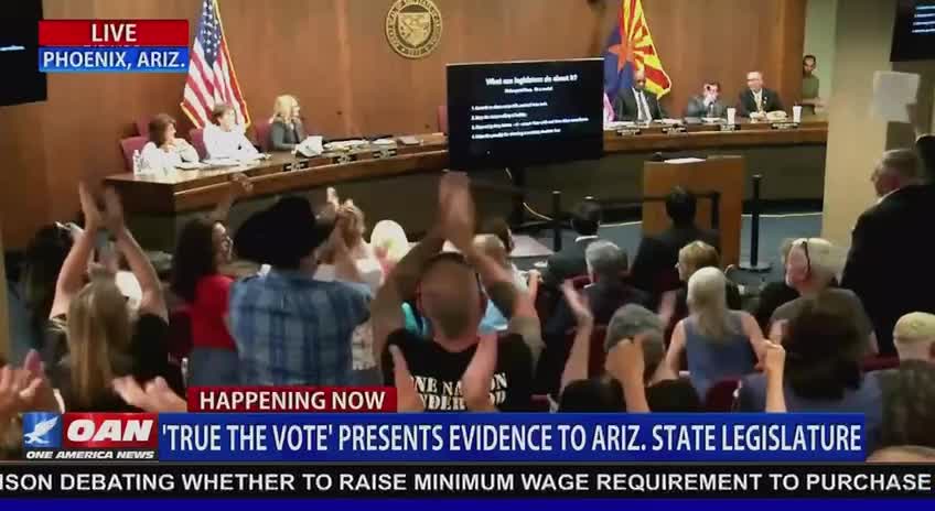 Arizona Representative Walter Blackman on HB228