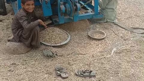 animal video Pakistan animal plant