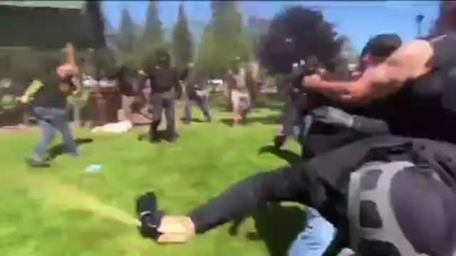 Antifa militant hit at riot