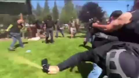 Antifa militant hit at riot