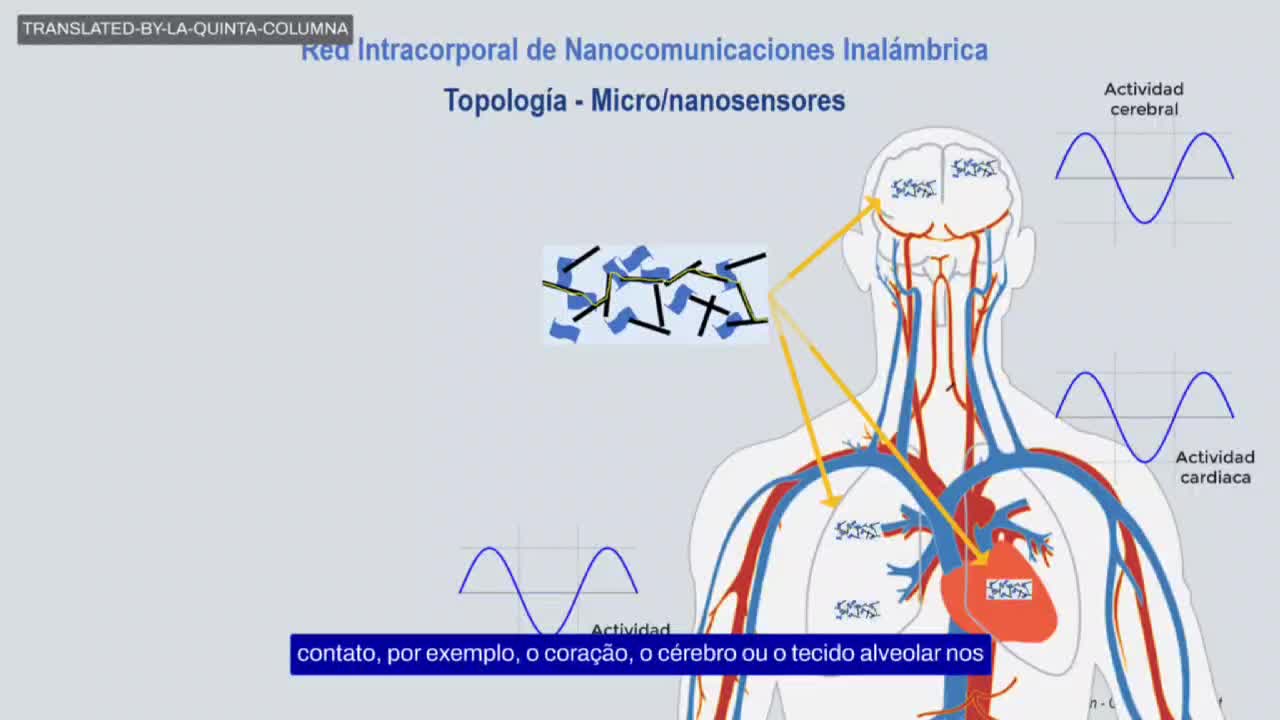 O fenômeno MAC e a Rede Intracorpórea de Nanocomunicações