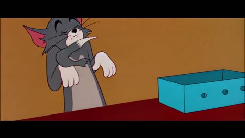 tom and jerry toons