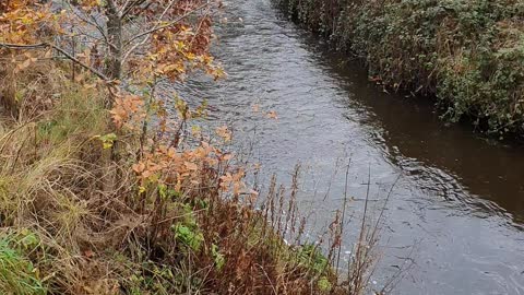 On the local river