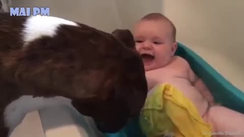 adorable babies playing with dogs and cats funny babies compilation(nice video)