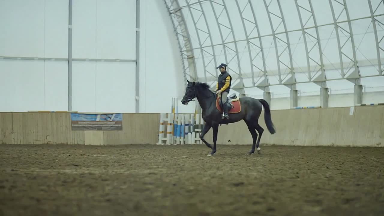 Boy riding a horse in the arena