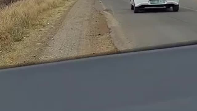 KZN travel mom’s hilarious dodging pothole video to the tune of Super Mario Bros goes viral