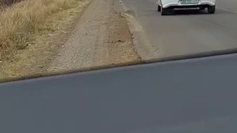 KZN travel mom’s hilarious dodging pothole video to the tune of Super Mario Bros goes viral