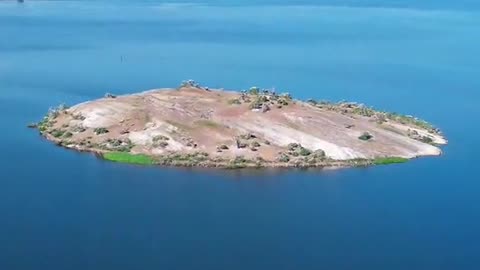 Kingdom of the Birds – Kokduwa at Parakrama Samudraya ☘️ | Polonnaruwa’s Natural Sanctuary