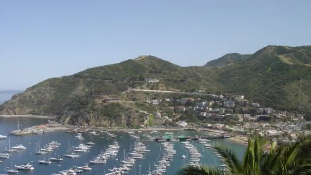 2004 Catalina Island Trip Photographs