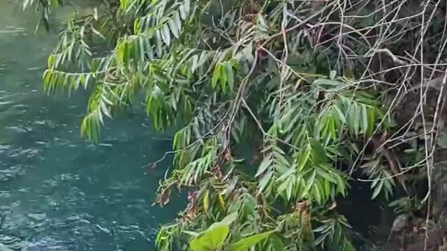 Território Kalunga