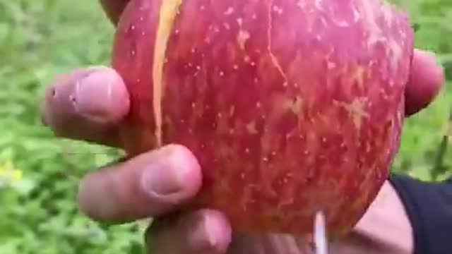 Video Triệu View Thỏa Mãn Người Xem _ Best Video Oddly Satisfying ( P870 ) _Shor