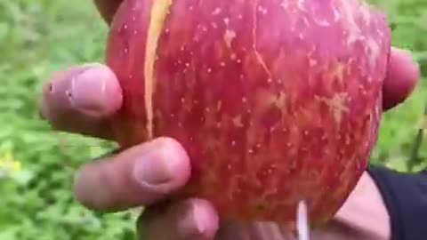 Video Triệu View Thỏa Mãn Người Xem _ Best Video Oddly Satisfying ( P870 ) _Shor