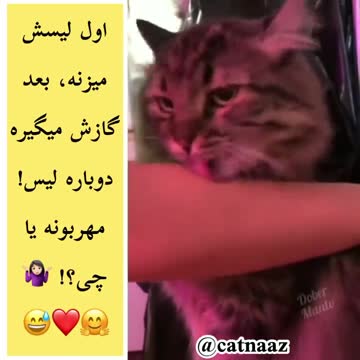 He licks first and then bites. What is his goal?