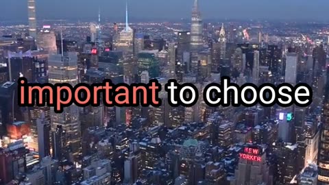 Maximizing your online profits through SEO.