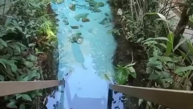 Crystal clear nature water