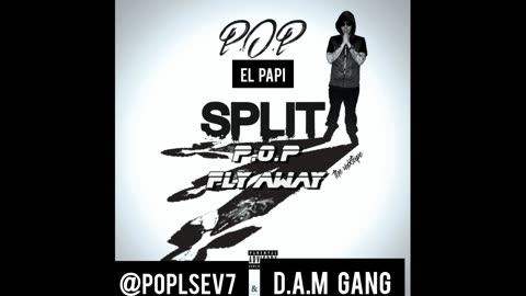 Fly Away - P.O.P EL PAPI